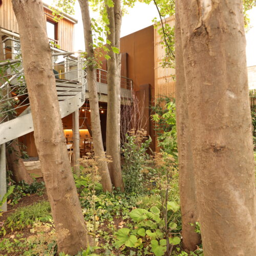 aménagement jardin et sous-sol maison sur pilotis
